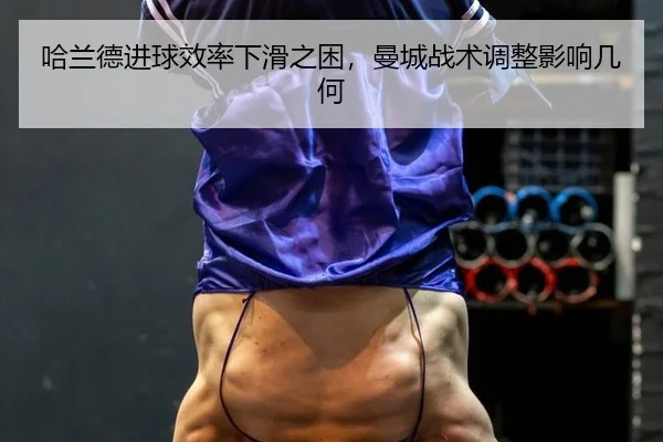ha-lan-de-jin-qiu-xiao-lv-xia-hua-zhi-kun-man-cheng-zhan-shu-tiao-zheng-ying-xiang-ji-he-2-966.jpg