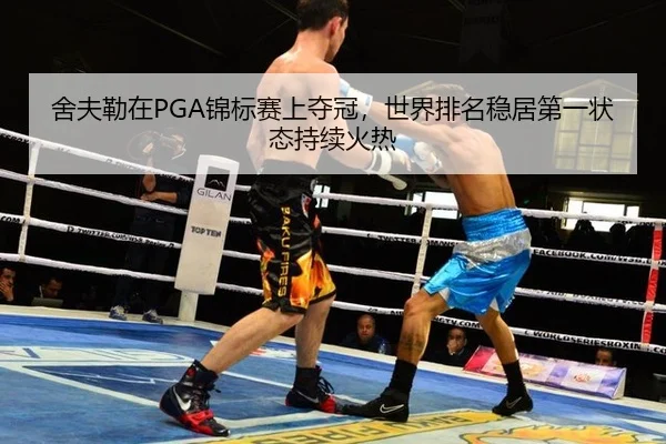 舍夫勒在PGA锦标赛上夺冠，世界排名稳居第一状态持续火热