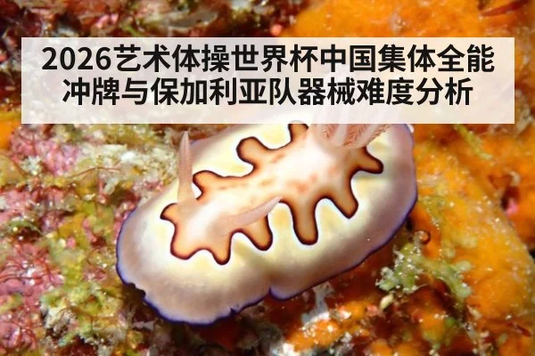 2026艺术体操世界杯中国集体全能冲牌与保加利亚队器械难度分析
